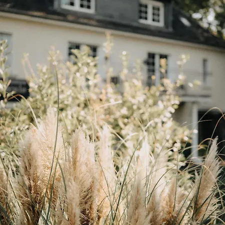 Pension-sendis 招待所