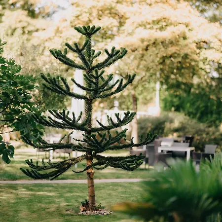 Pension-sendis 3* 赫恩