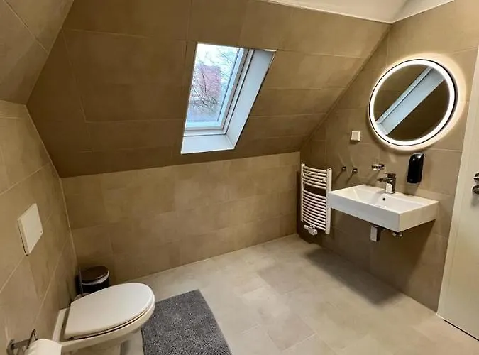 招待所 Pension-sendis 3*