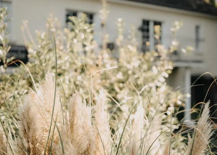 Pension-sendis 招待所