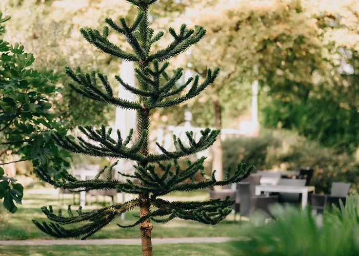 Pension-sendis 3* 赫恩